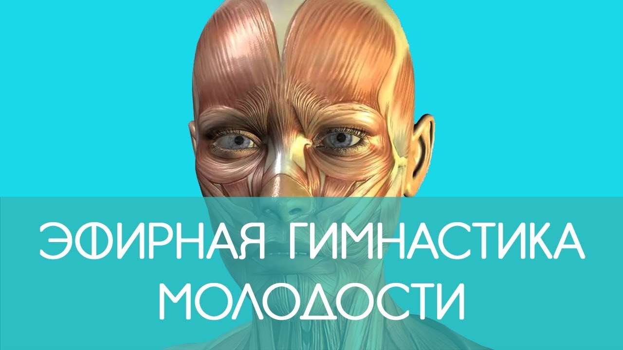 марина митаповна врач. секрет долгой молодости. марина арьяева. секрет долгой молодости. комплекс упражнений профессора никитина.