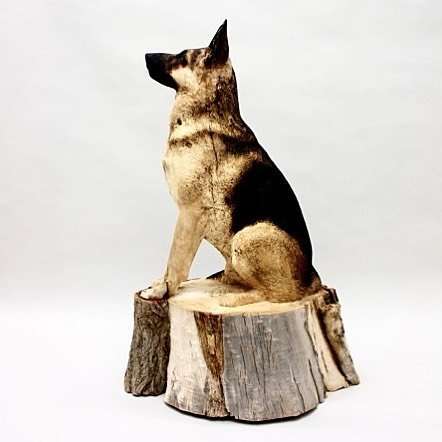 Художник вырезает невероятно реалистичные скульптуры домашних животных из массивных стволов дерева (11 фото)