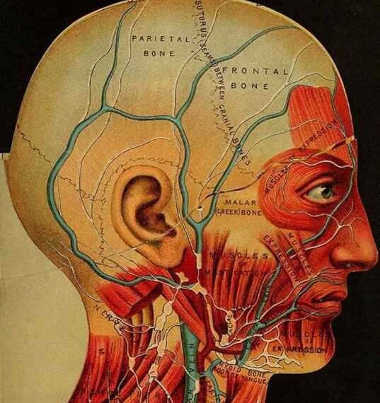 Психосоматика головных болей: Что болит на самом деле