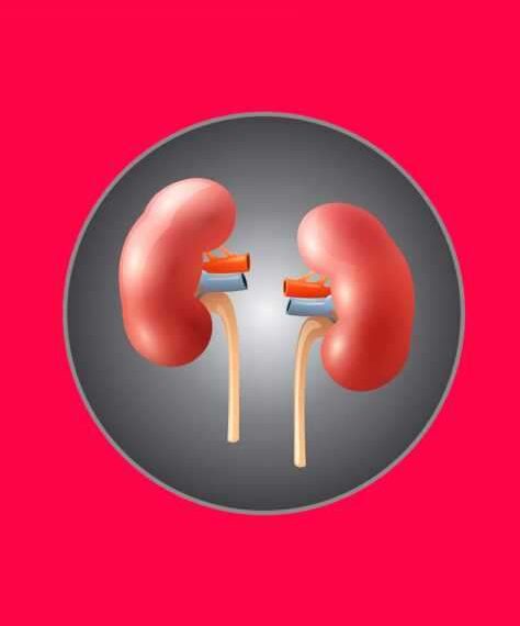 Скрытая угроза почкам, о которой вы можете не догадываться