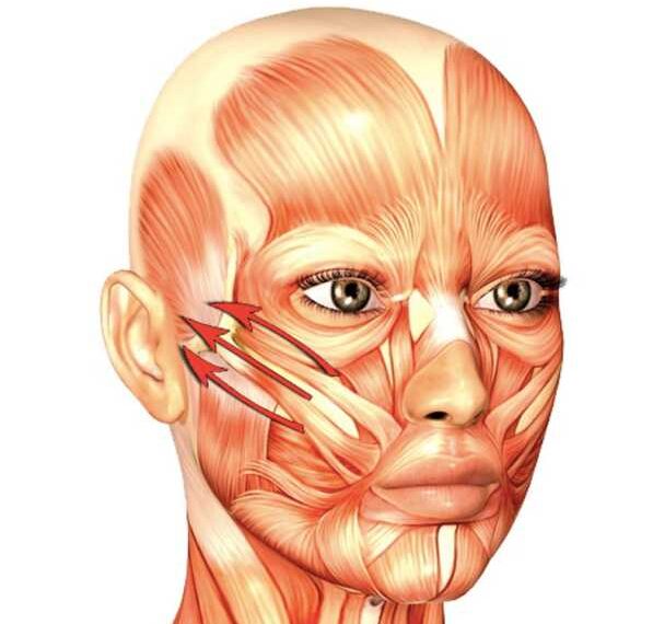 Омолаживающее упражнение «Ленточки»: корректируем натяжение мышц лица