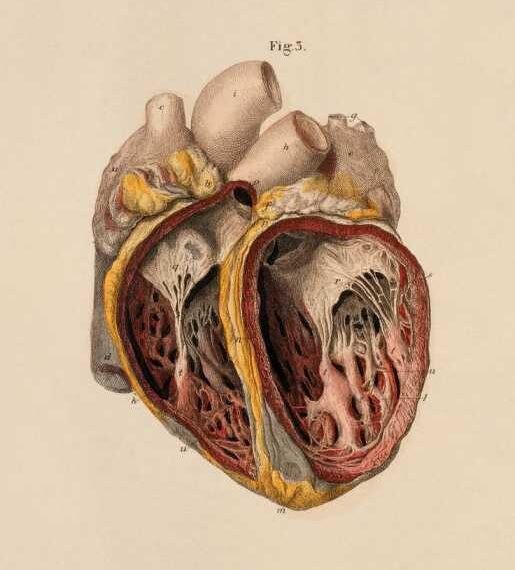 «Грудная жаба»: Как маскируются сердечные проблемы