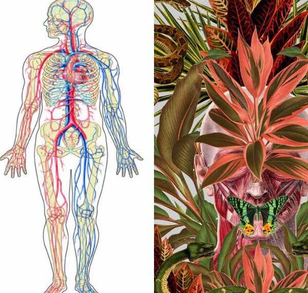 УБИРАЕМ ШЛАКИ и ЛИШНИЕ килограммы