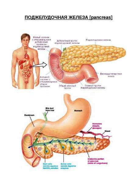 Хронический ПАНКРЕАТИТ: лечение и диета