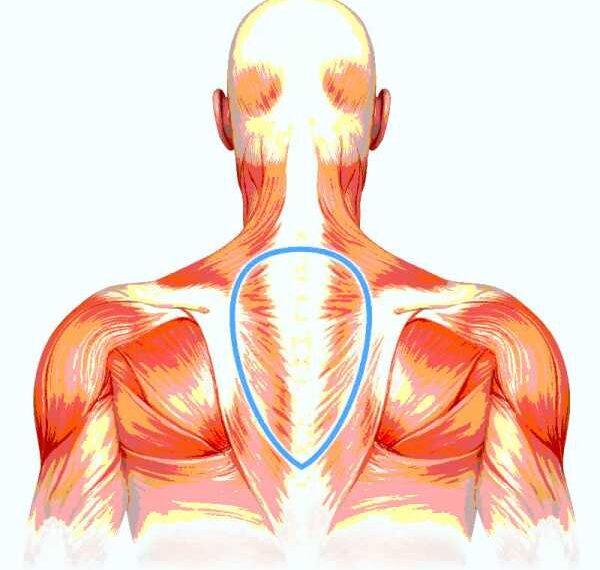 16 эффективных лечебных движений для позвоночника