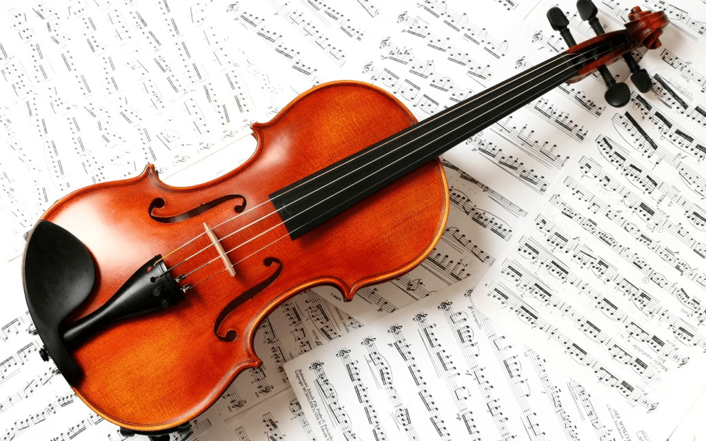 Как выбрать скрипку для обучения: Patinahati раскрывает секреты