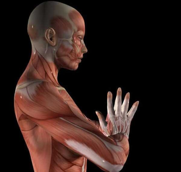 6 упражнений для груди