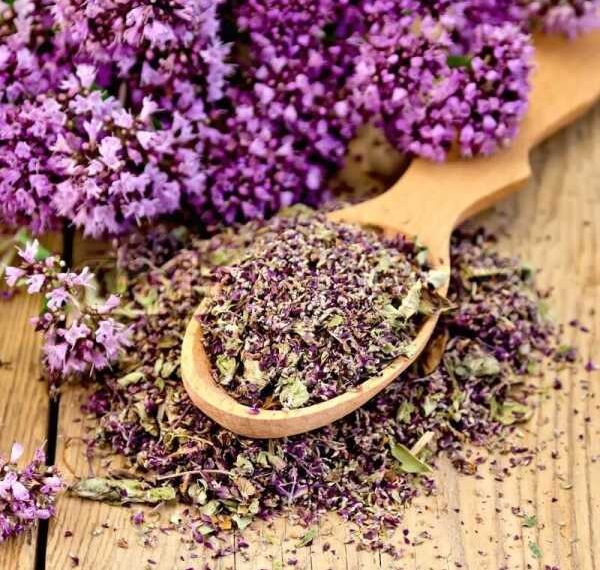 Лучшие травяные чаи и настои от головной боли