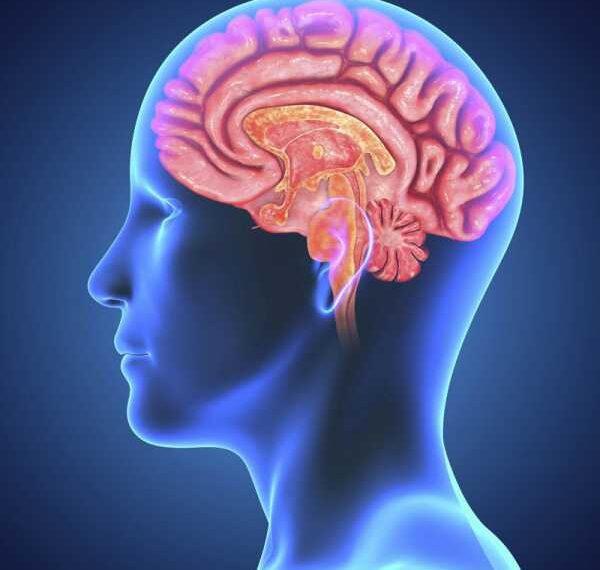 Как повернуть вспять старение вашего мозга