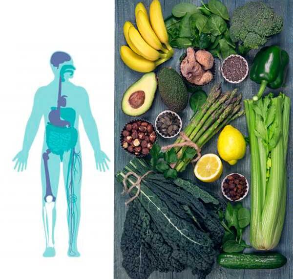 Щелочная диета для омоложения и оздоровления организма