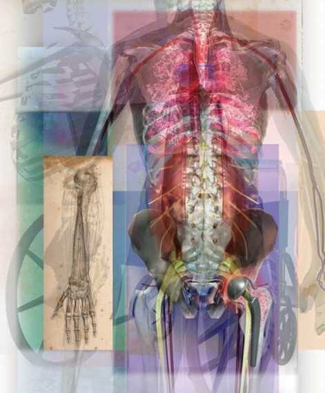 Воспаление дёсен и ревматоидный артрит: в чем СВЯЗЬ