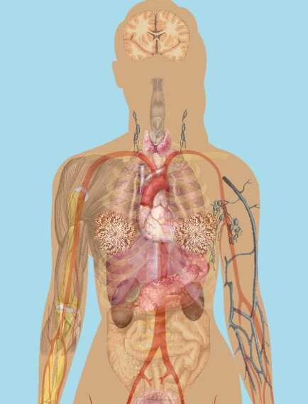 Почему важно принимать фолиевую кислоту