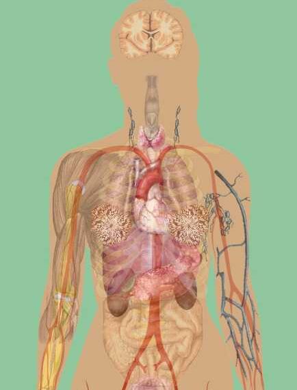 Обязательный витамин после 40 лет и во время беременности