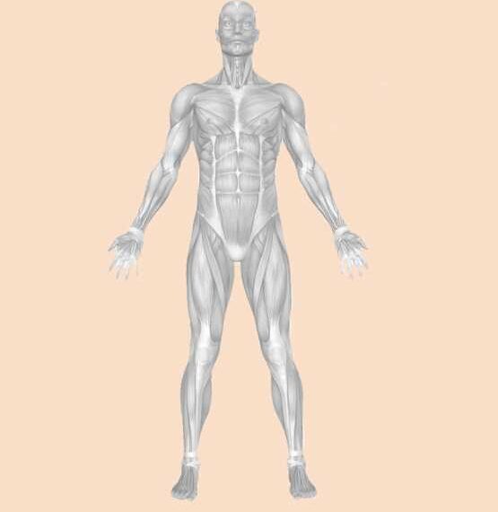 «8 сторон света»: Упражнения для омоложения и оздоровления