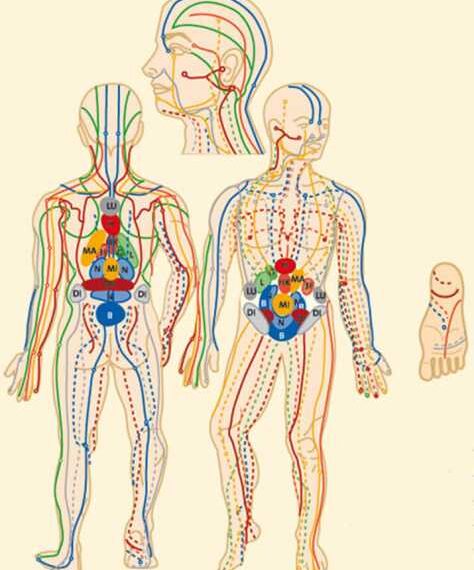 Упражнения при нарушении обмена веществ и проблемах с кожей