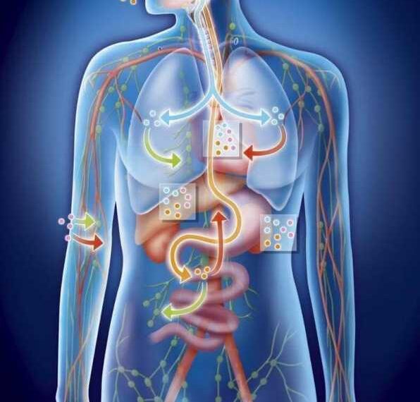 Кислотно-щелочной баланс: что важно знать