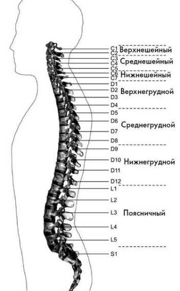 Лечебные движения для снятия головной боли