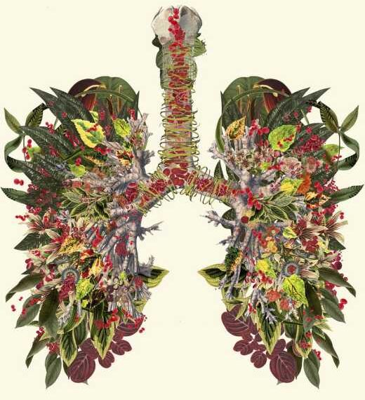 Интересные факты о недыхательных функциях дыхательной системы