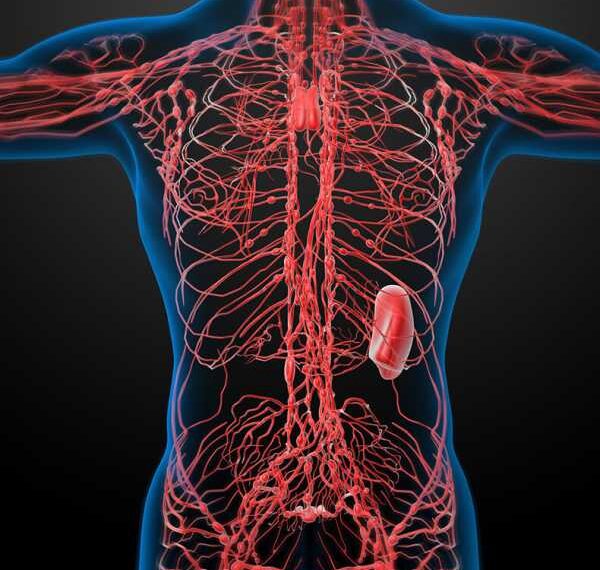 Застой в лимфатической системе: 16 симптомов