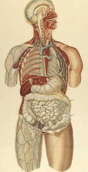 Формула здорового питания доктора Бубновского для тех, кто хочет жить