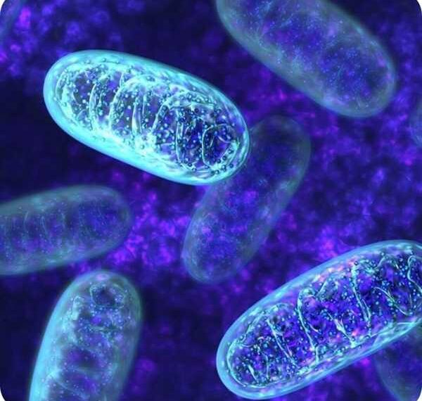 Митохондриальные болезни