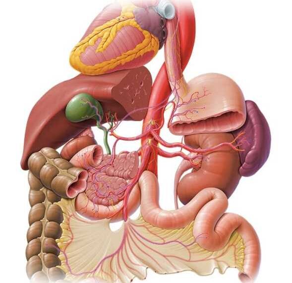 ЯЗВА и КИСЛОТНЫЙ РЕФЛЮКС: Натуральные лечебные средства
