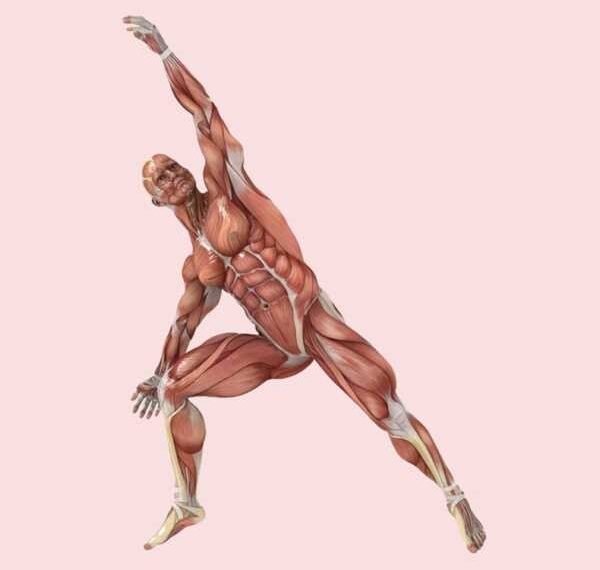 Упражнения для развития гибкости