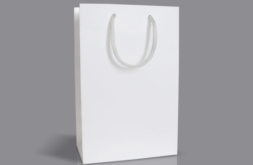 Бумажные пакеты под логотип — современный выбор