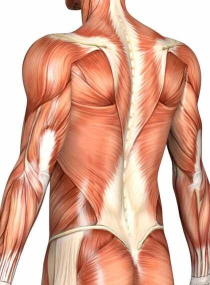 Мышечные судороги: лучшие способы предотвращения