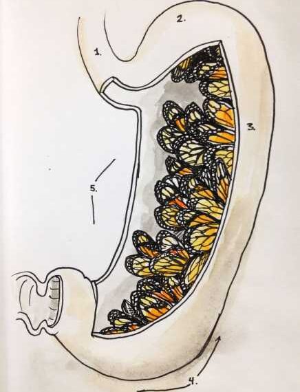 ДИАРЕЯ: Что нужно и чего НЕ нужно есть