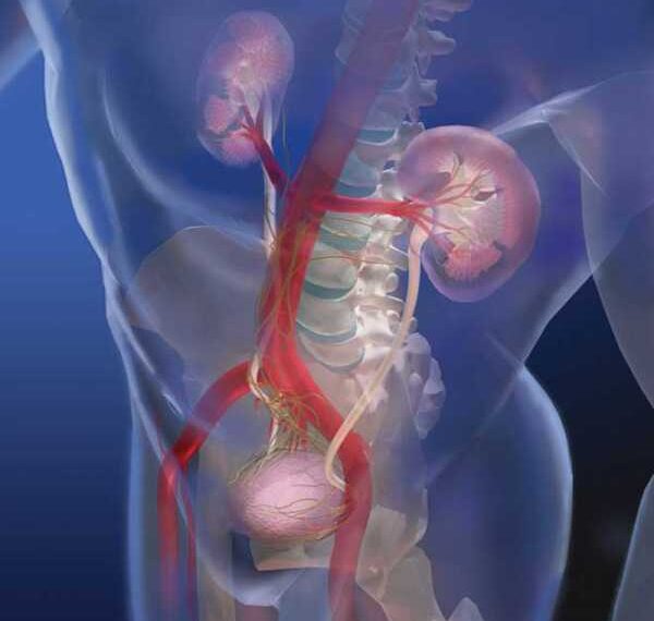Простое упражнение, которое защитит ваши почки от воздействия стресса