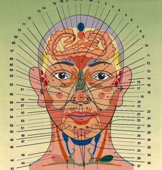 Панорама лица: Искусство диагностики по лицу