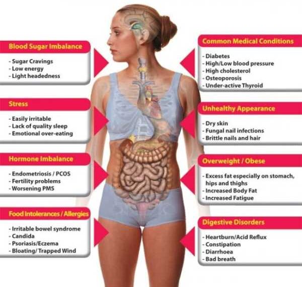 9 фактов о метаболизме