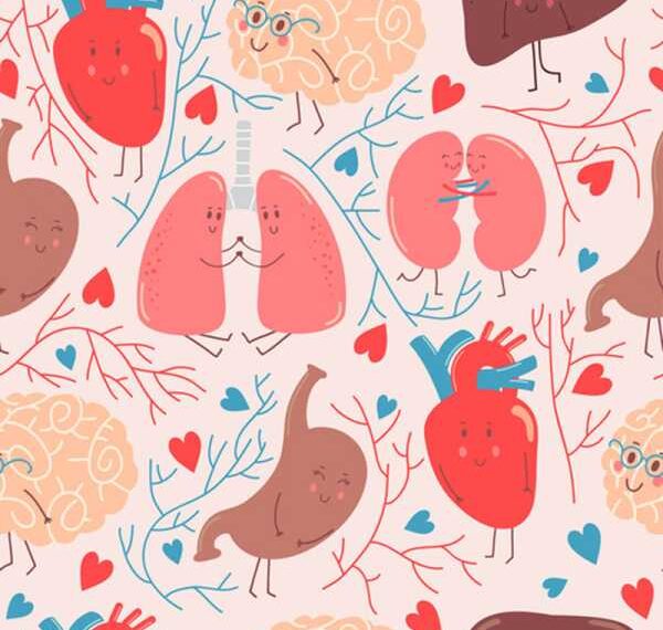 Танцпол внутри нас: Оказывается, наши органы имеют 3 вида движений!