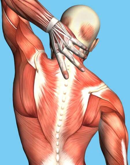 ГЕМОРРОЙ как психосоматическое заболевание
