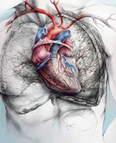 Гипертония: Что делать, если же ваше давление на верхней границе нормы