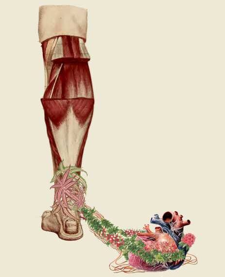 Ольга Бутакова: соединительная ткань и болезни человека