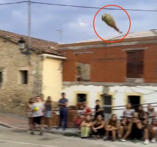 Історія з Jam Press (Конкурс з метання шинки). На фото: відео, на якому іспанські селяни проводять дивний щорічний контент, щоб побачити, хто зможе кинути шинку найдалі. ВІДЕО: Знайдіть собі рівних! Іспанське село проводить дивні змагання з метання шинки. Іспанське село проводить дивні щорічні змагання, щоб побачити, хто зможе кинути шинку найдалі. На кадрах із цьогорічного заходу видно, як учасники, що претендують на перемогу, кидають важкі шинки у позначену зону, що нагадує сектор для метання молота. Ці дивні змагання проводяться щороку в серпні в Карраскоса-де-ла-Сьєрра. Розташоване в іспанській провінції Сорія, село має лише 70 мешканців, які проживають тут цілий рік, але під час святкувань населення зростає до понад 400. Відома як Campeonato de Lanzamiento de Pernil - Чемпіонат з метання шинки, ця традиція зародилася десятиліття тому як жарт серед друзів у місцевому барі. Цього року вона стала вірусною завдяки 24-річному Тальї Бенедикто, який має коріння в селі та поділився монтажем заходу в соціальних мережах. Кинута шинка не марнується — її обгортають скотчем та бульбашковою плівкою перед запуском і слугують трофеєм для того, хто кине її найдалі. Однак традиція передбачає, що переможець ділиться ним як з місцевими жителями, так і з відвідувачами. Цьогорічним чемпіоном серед чоловіків став Серхіо Гарсія, чий кидок досяг 20,55 метрів, як повідомляє What's The Jam. Також є категорії для жінок, які кидають шинку з лопаткою; дітей, які кидають сальчічон; і навіть малюків, які кидають міні-фует. Те, що почалося в 1997 році як незвичайна ідея оживити серпневі свята, стало визначальним символом села. «Місцеві жителі дуже раді, бо ми зробили Карраскосу відомою», — сказав Талія місцевим ЗМІ. Карраскоса — не єдиний іспанський фестиваль дивакуватів. У Каркабуеї, провінція Кордова, проводиться чемпіонат з плювання кісточок оливок. У регіоні Галісія верхівки ріпи літають у повітрі у спеціальному змаганні. У регіоні Наварра проводяться змагання з кидання еспадрильй. А в регіоні Кастилія та Леон учасники кидають мотики в гонитві за славою. КІНЕЦЬ ПРИМІТКА РЕДАКТОРА: Цитати перекладено англійською мовою. Ми рекомендуємо приховувати обличчя дітей у натовпі, зображених на відео, перед публікацією. Для вашого ознайомлення кадри надано з розмитими зображеннями. Ліцензія на використання відео: (НЕВИКЛЮЧНА) Ми отримали невиключну ліцензію від власника авторських прав. Копія ліцензії доступна за запитом. Обмеження відео: Немає.