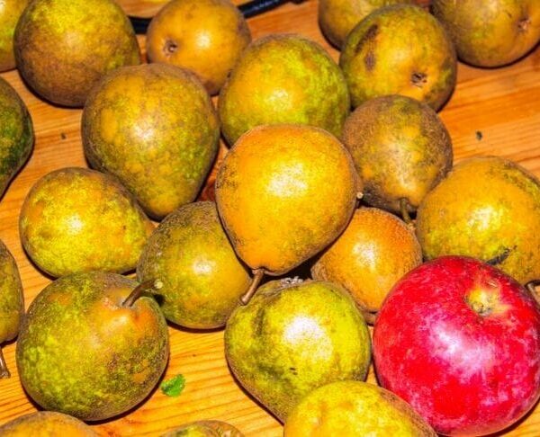 Куди подіти очищення від фруктів: неймовірно економічний та простий кухонний лайфхак