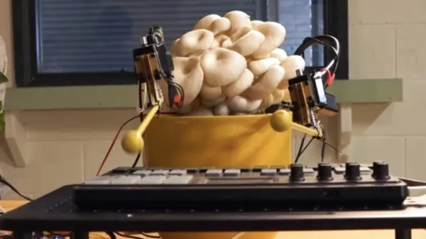 Гриби з біонічними руками, що виходять з них