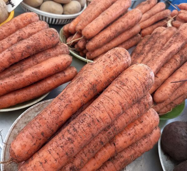 Чому не можна з'їдати більше однієї цілої моркви на день: попередження для любителів здорових перекусів