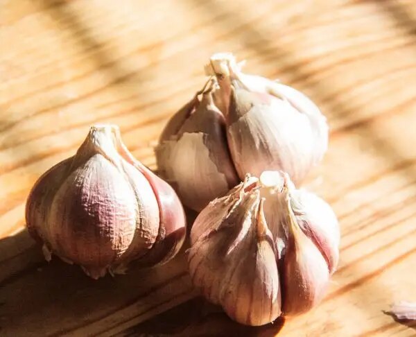 Скільки зубчиків часнику на день — це вже перебір: названо точний кордон між ліками та отрутою