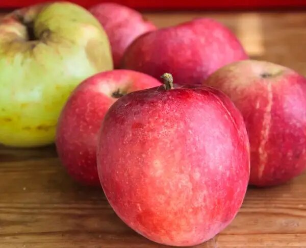 Чому не можна їсти яблука перед сном: запам'ятайте раз і назавжди