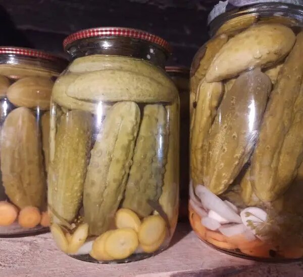 Чи можна їсти мариновані огірки щодня: ось правильна відповідь