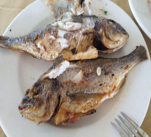 Що корисніше для мозку: смажена чи запечена риба? Відповідь змінить ваше меню назавжди