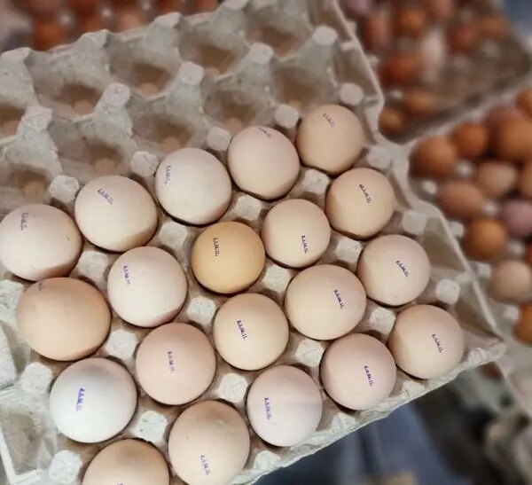 Що буде, якщо є яйця на сніданок щодня