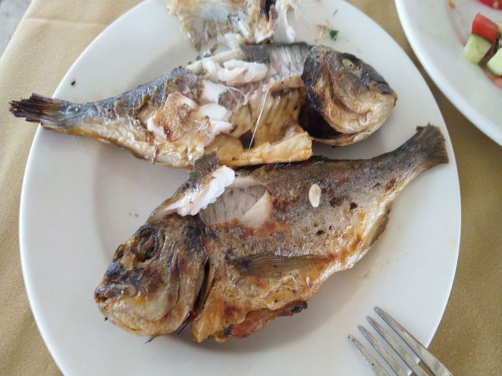 Чому не можна запивати рибу чаєм: і як це шкодить вашій шкірі