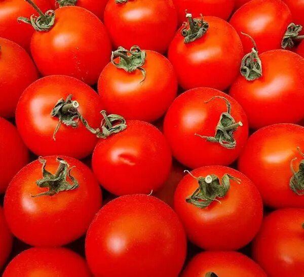 Чому помідори потрібно їсти з олією: науковий факт про засвоєння