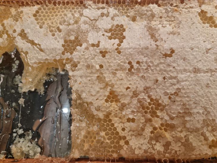 З чим категорично не можна їсти мед: він перетворюється на отруту мед