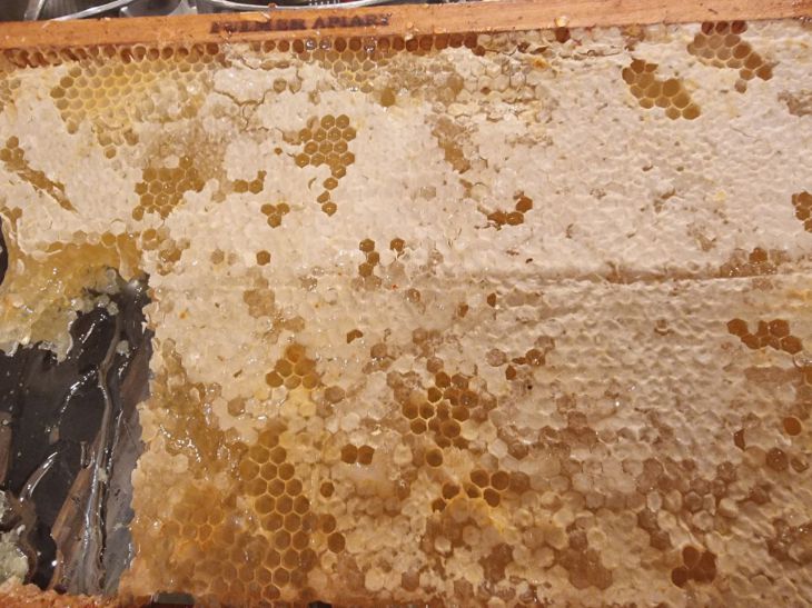 Скільки ложок меду на день — це вже перебір: рахуємо разом мед